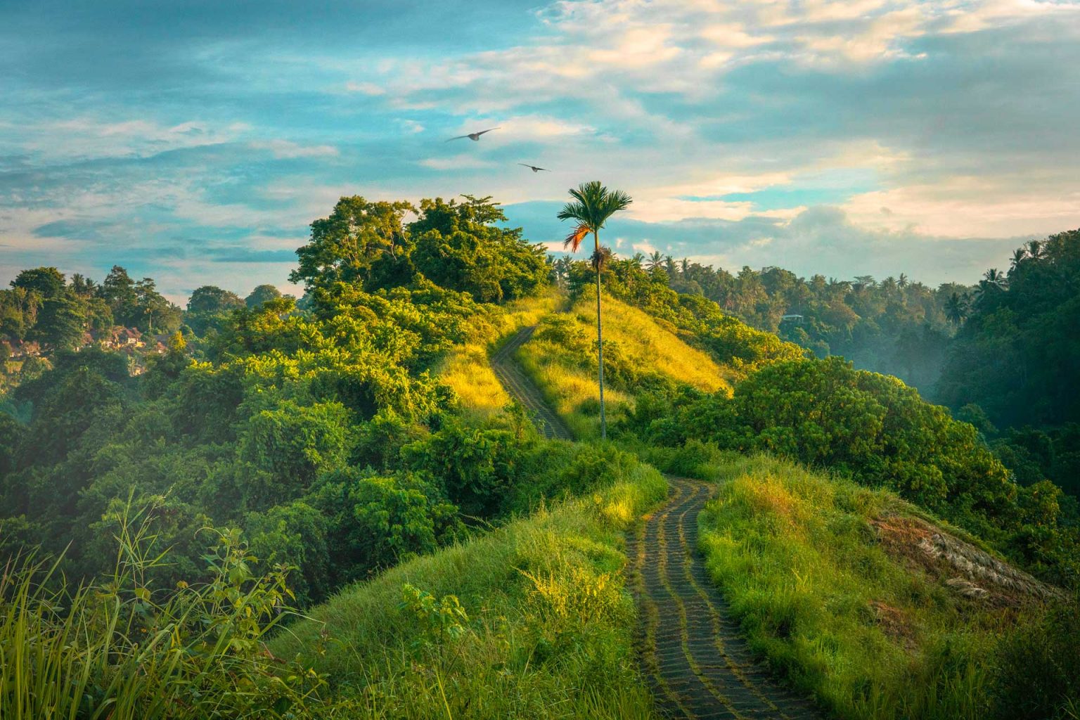 PUNTA MITA HIKES